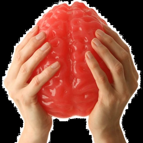 Top Halloween Candy Gummy Life Size Brain